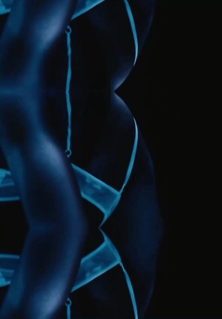 frame 10 08 2025 06 27 01 large